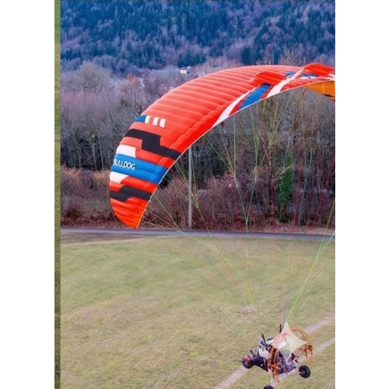 Bulldog 2 (przedsprzedaż)